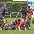 Will-Johnson-Nice-Rugby-Mauleon-2009.jpeg